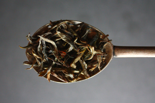 Opulent Himalaya Organic Loose Leaf Black Tea with Bamboo Infuser